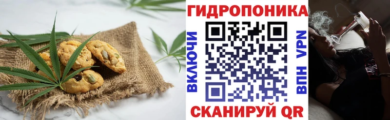 Canna-Cookies марихуана  Купить закладки  Жуков 