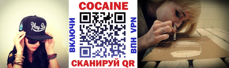 Купить закладки  Жуков  Cocaine Fish Scale 