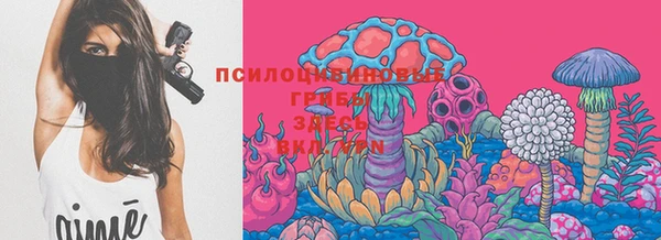 дмт Медногорск